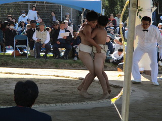 IMG_0086.JPG