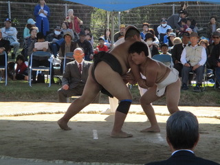 IMG_0094.JPG