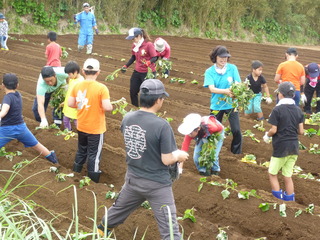 P1170330.JPG